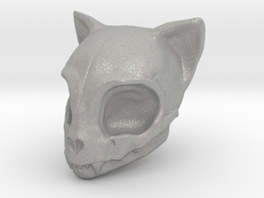 Cat Skull in Aluminum