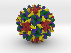 Woodchuck Hepatitis Virus in Natural Full Color Sandstone