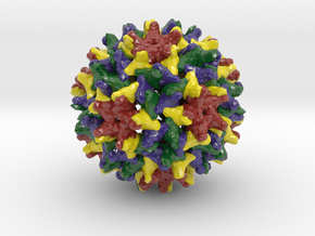 Woodchuck Hepatitis Virus (Large) in Glossy Full Color Sandstone