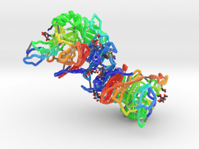 Measles Hemagglutinin bound CD46 Receptor (Large) in Glossy Full Color Sandstone