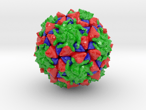 Polio Virus (Large) in Glossy Full Color Sandstone