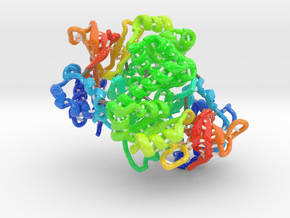 Phenazine Antibiotic Biosynthesis Protein (Large) in Glossy Full Color Sandstone