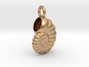 Seashell Pendant in Natural Bronze
