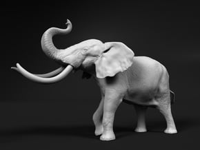 African Bush Elephant 1:12 Aggressive Male in White Natural Versatile Plastic