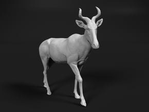 Coke's Hartebeest 1:64 Walking Male in Tan Fine Detail Plastic