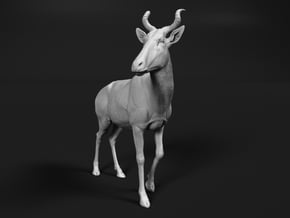 Bubal Hartebeest 1:20 Walking Male in White Natural Versatile Plastic