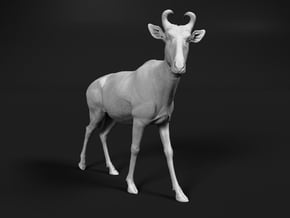 Lichtenstein's hartebeest 1:16 Walking Male in White Natural Versatile Plastic