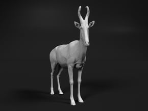 Lelwel Hartebeest 1:32 Standing Male in White Natural Versatile Plastic