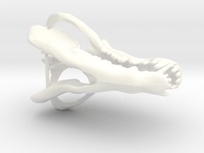 Andrewsarchus Articulated Skull in White Processed Versatile Plastic