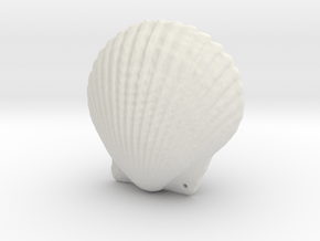 Small Seashell Pendant Closed in White Natural Versatile Plastic