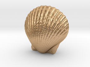 Small Seashell Pendant Closed in Natural Bronze