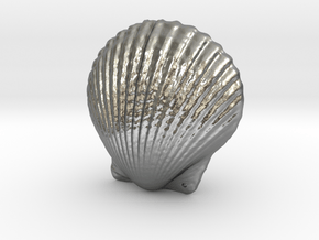 Small Seashell Pendant Closed in Natural Silver