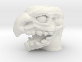 Rotbeak Head (Multisize) in White Natural Versatile Plastic: Medium