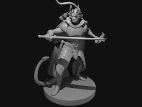 Tiefling Two Sword Ranger in Smooth Fine Detail Plastic