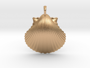Scallop Shell in Natural Bronze