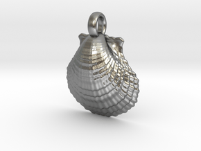 Scallop Shell in Natural Silver
