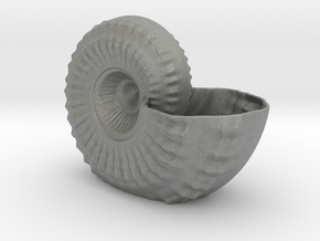 Shell Planter in Gray PA12