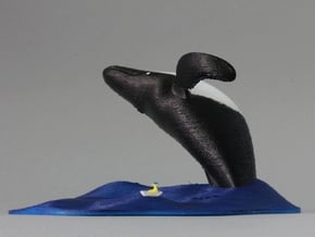 Whale Watching (Unpainted) in White Natural Versatile Plastic