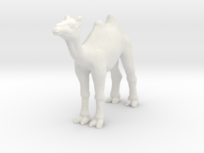 Printle Animal Camel - 1/64 in White Natural Versatile Plastic