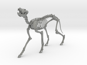 Skeletal Wolf (Howling) in Gray PA12