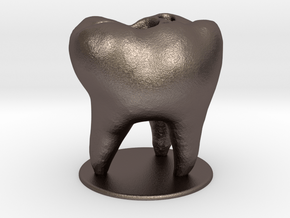 Tooth Toothbrush Holder in Polished Bronzed-Silver Steel