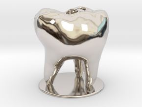 Tooth Toothbrush Holder in Rhodium Plated Brass