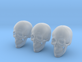 1:16 Scale Human Skull - Bundle in Tan Fine Detail Plastic