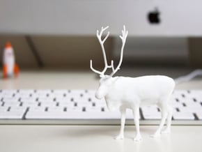 3D scanned Reindeer  in White Natural Versatile Plastic