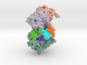 DXP Synthase-Closed 60UV in Glossy Full Color Sandstone: Small