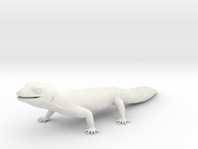 Leopard Gecko - Life Sized Model  in White Natural Versatile Plastic