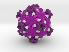 Fako Virus in Natural Full Color Sandstone