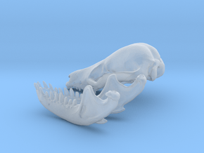 fruitafossor (mammal skull and mandible) in Tan Fine Detail Plastic