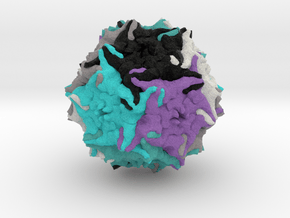 Adeno-Associated Virus 5 in Natural Full Color Sandstone