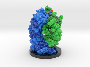 Antibody FAB Antidote for Dabigatran and Base 4JN2 in Glossy Full Color Sandstone: Medium