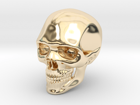 Realistic Human Skull (40mm H) in 14k Gold Plated Brass