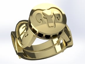 Aries Ring in 14K Yellow Gold: 10 / 61.5