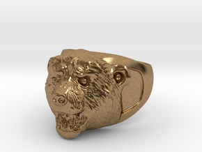 Grizzly bear ring in Natural Brass