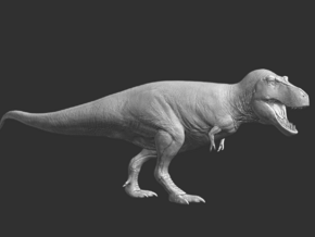 Tyrannosaurus rex Model 1/85 or 1/50 Scale V2 in White Natural Versatile Plastic: Small