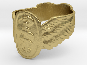 Good Omens Signet Ring in Natural Brass: 5.75 / 50.875