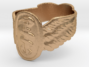 Good Omens Signet Ring in Natural Bronze: 5.75 / 50.875