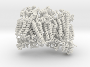 Cytochrome Oxidase in White Natural Versatile Plastic