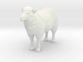 1-20th Scale Sheep in White Natural Versatile Plastic