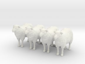 1-20th Scale 4 Sheep in White Natural Versatile Plastic