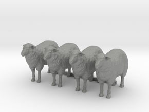 1-20th Scale 4 Sheep in Gray PA12