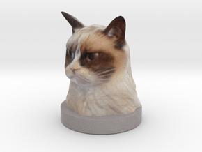 Grumpy Cat in Natural Full Color Sandstone