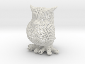 Owl - hexagonal in White Natural Versatile Plastic