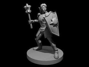 Elven Female Light Cleric with Mace and Shield in Smooth Fine Detail Plastic