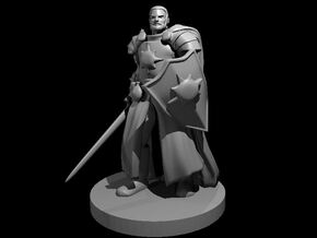 Human Male Light Cleric / Paladin - Sword & Shield in Smooth Fine Detail Plastic