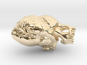 Anatomical Heart in 14k Gold Plated Brass