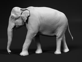 Indian Elephant 1:48 Walking Female in White Natural Versatile Plastic